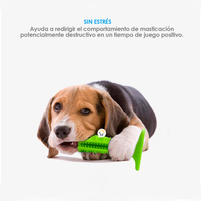 Cepillo de dientes para perro