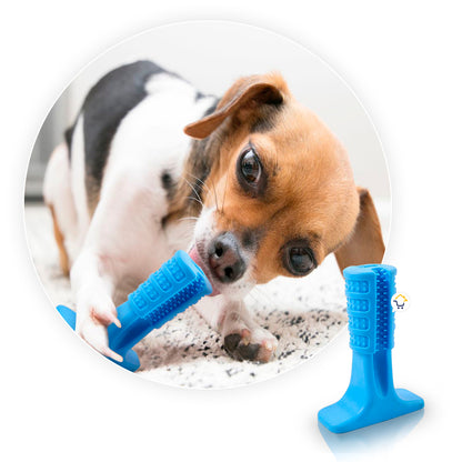 Cepillo de dientes para perro