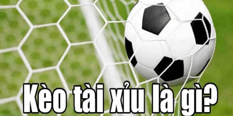 Kèo tài xỉu là gì ? Kèo tài xỉu là gì ?